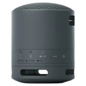 Sony SRS-XB100 Black (SRSXB100B)
